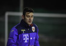 Ionut Nedelcearu
