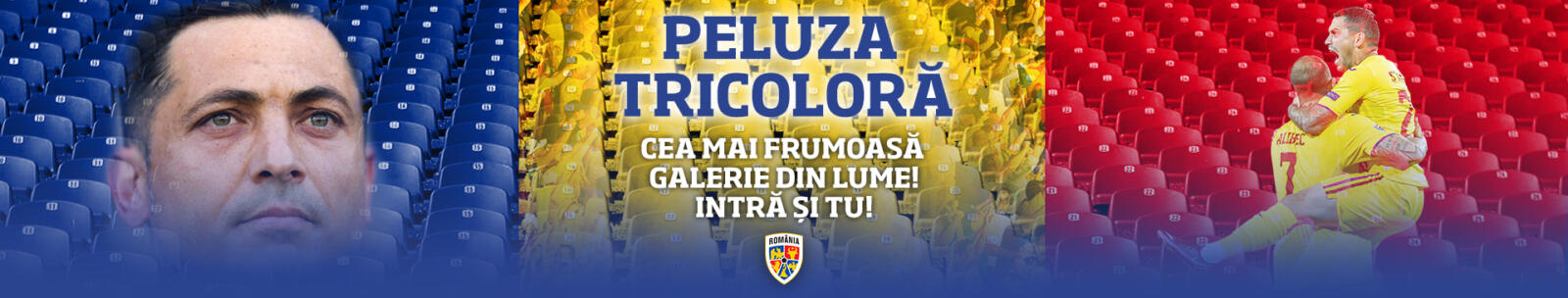 Header-Peluza-Tricolora-v2_4_4 Header-Peluza-Tricolora-v2_4_4