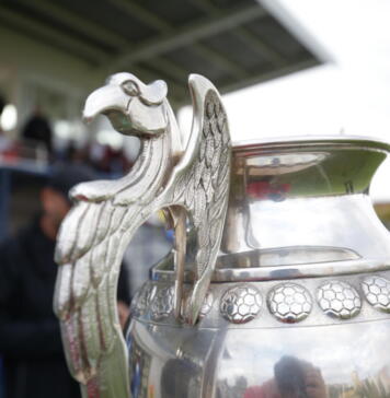 Trofeul Cupei României