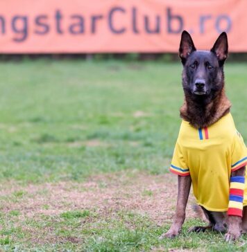 Campionii arată respect. Pe teren. Și în viață!